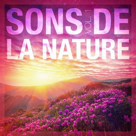 Les Sons De La Nature Bruits De La Nature 30 Bruits de la nature - Ambiance de la forêt avec bruit de l'eau